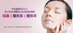 朝天鼻整形價(jià)格？朝天鼻整形多少錢？