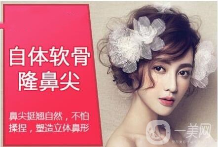 自體軟骨隆鼻尖,價格