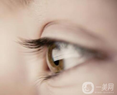 種睫毛要多少錢 種睫毛價格是多少