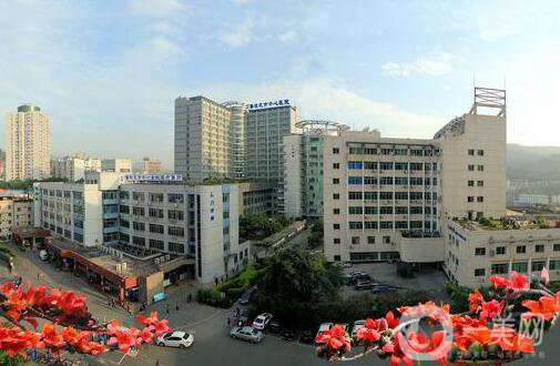 攀枝花市中心醫(yī)院,燒傷整形科,價格表