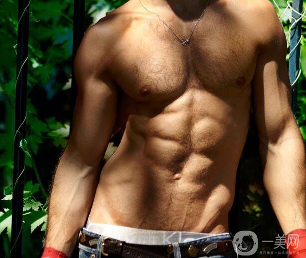 種植胸毛價格貴不貴