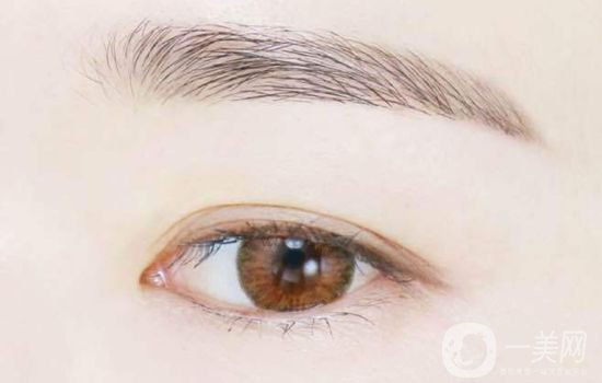 繡眉的價(jià)格是多少 繡眉分幾種類(lèi)型