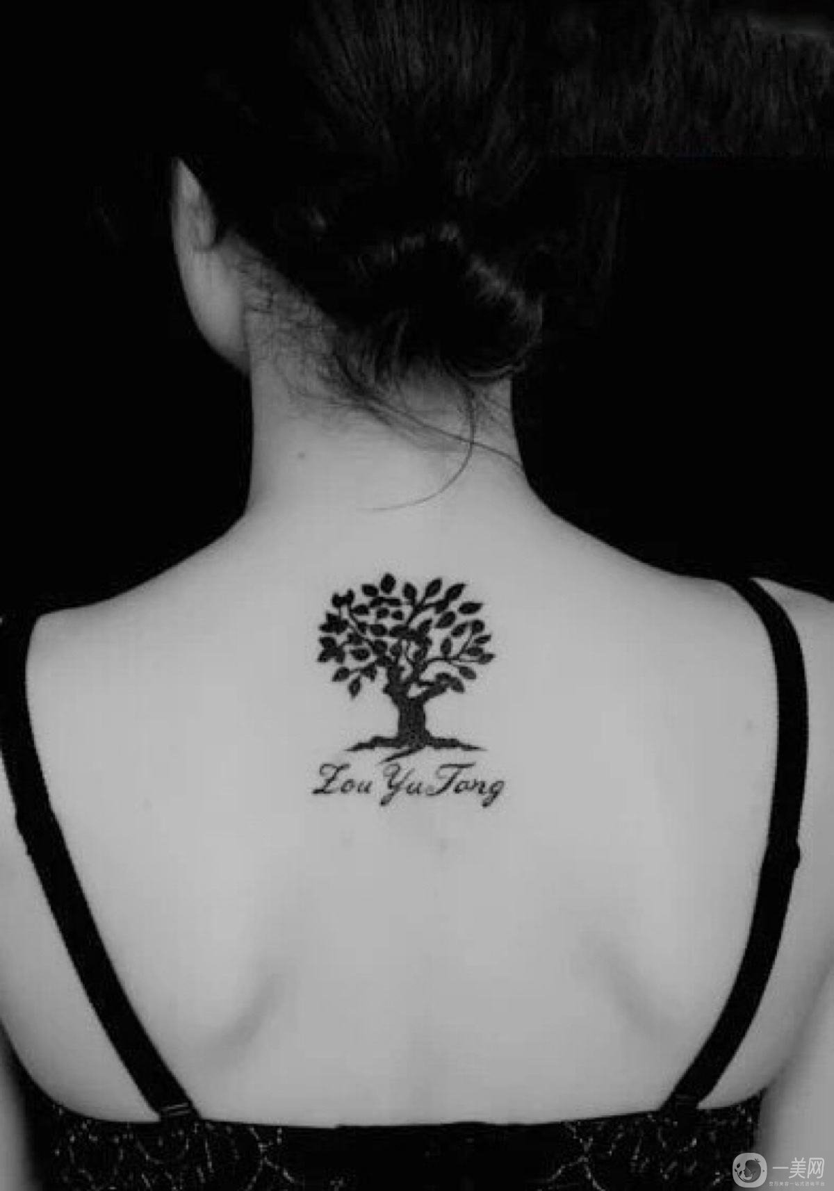 沃斯堡的皮紋術怎么樣 皮紋術是如何工作的