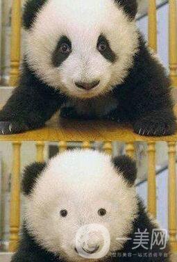 黑眼圈很重怎么辦 怎么調(diào)節(jié)黑眼圈?