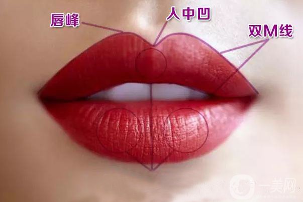 弓形唇與仰月唇區(qū)別是什么