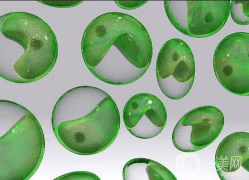 小球藻美容優(yōu)勢