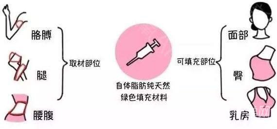 怎么讓脂肪成活率高一點 影響成活率的因素