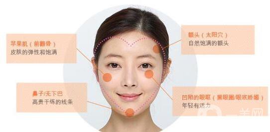 自體脂肪填充臉,價格