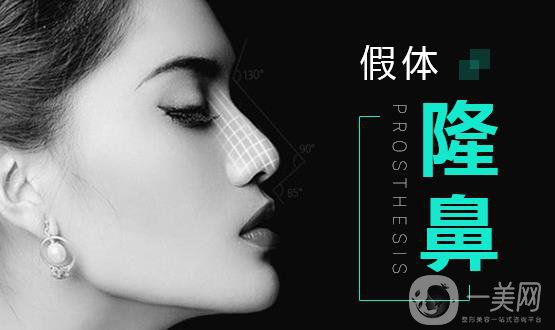 分段式假體隆鼻