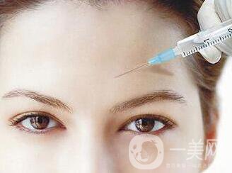 瑞蘭2號多少錢一支