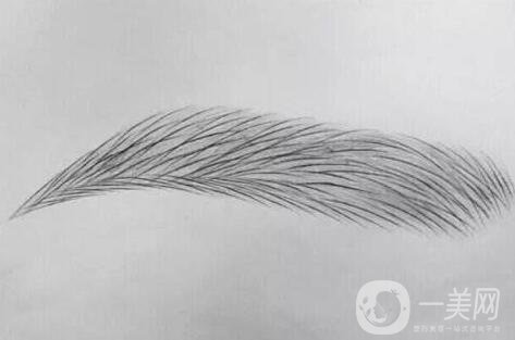 眉毛種植選什么時候是成活率比較高?