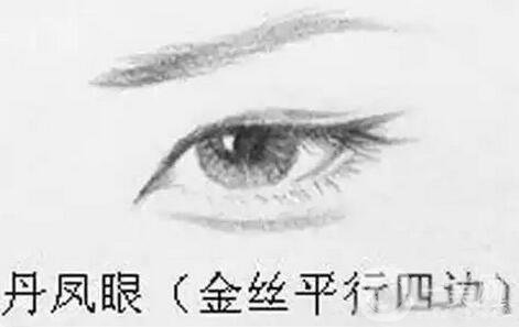 丹鳳眼是什么樣兒的？好看嗎？