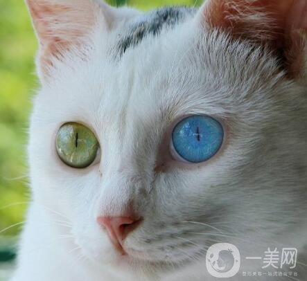 拉雙眼皮的危害是什么？術(shù)后注意事項(xiàng)有哪些？