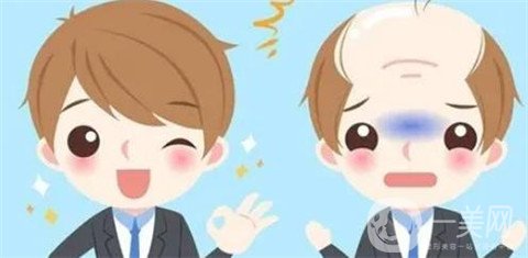 人工頭發(fā)種植*果嗎？