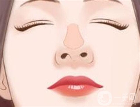 耳軟骨墊鼻尖多少錢 耳軟骨墊鼻尖具體價格