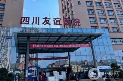 成都友誼醫(yī)院隆鼻價格多少錢？2024坐診專家介紹、案例全在這里