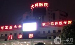 2024大坪醫(yī)院隆鼻價(jià)格表公布，附坐診醫(yī)生簡介、技術(shù)實(shí)力淺析