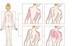 埋線減肥后沒有效果是因為什么
